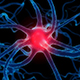 neurogenesis's Avatar